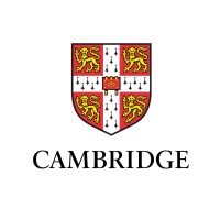 Cambridge Insight logo - Similar company to Usaid Learning Lab