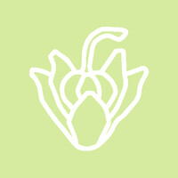 Acajou logo - Similar company to Hug