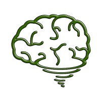 Brainstorm Chaser