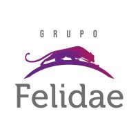 Felidae Group logo - Similar company to Sumrise