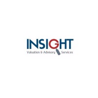 Insight Valuation & Advisory Services logo - Similar company to Govt. Contractor