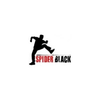 SpiderBlack Online logo - Similar company to Dataal Africa
