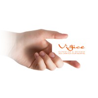 VigiCE: Votre Expert CSE logo - Similar company to Impul'Sante