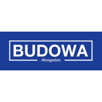 BUDOWA logo - Similar company to Icts Advisors