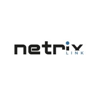 Netrix LINK logo - Similar company to Netrix It
