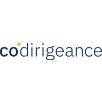 Codirigeance logo - Similar company to Meteocloud Gmbh