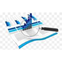 Insight IQ Market logo - Similar company to Ameretat Flow