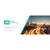 LMN Global Consultants Co (Pvt) Ltd. logo - Similar company to Lmn Business Solutions
