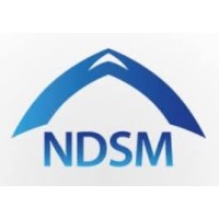 NDSM LTD logo - Similar company to Cap Carriere