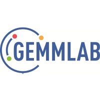 Gemmlab srl logo - Similar company to 4Consulting Srl