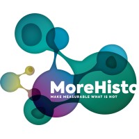 MoreHisto logo - Similar company to Leosense