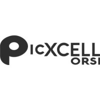 PICXCELL - Groupe PICOURT logo - Similar company to Valmy - Groupe Picourt