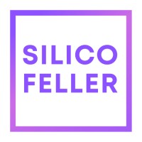 Silicofeller Quantum logo - Similar company to Integrated Microsystem