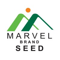 VICTORY MARVEL SEEDS INDIA PVT. LTD. logo - Similar company to Finno Aq