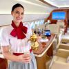 Corporate Cabin Attendant logo - Similar company to The Helphub™