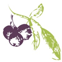 Huckleberry Branding logo - Similar company to Bear Web Design