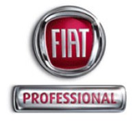 FIAT Professional Ireland logo - Similar company to Reverb Studios Digital Design
