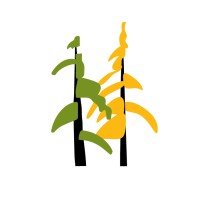 Can-Peat logo - Similar company to Canmetmining