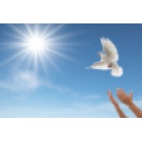 Mind Mantras logo - Similar company to Mindmantra