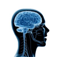 Unlimited Wellness Institute logo - Similar company to Chiro Studio