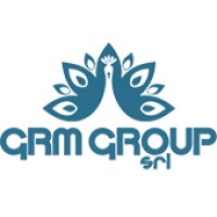 GRM GROUP SRL logo - Similar company to Bpm Srl