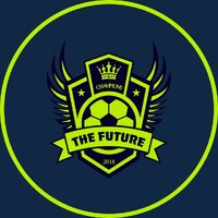 The Future: Elite Academy logo - Similar company to Enneagram Europe