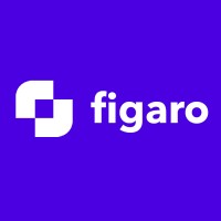 Figaro logo - Similar company to Netkey