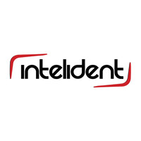 Intelident Guatemala logo - Similar company to Intelident