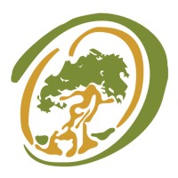 OLIVOS ORNAMENTALES S.L. logo - Similar company to Acyss