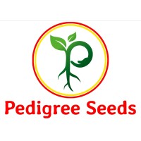 Pedigree Seeds logo - Similar company to Aaryagen Seeds & Technologies Private Ltd