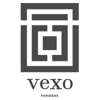 Vexo AS logo - Similar company to Rocketmvp