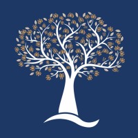 AM Consulting & Management logo - Similar company to Clavis Partners Ag
