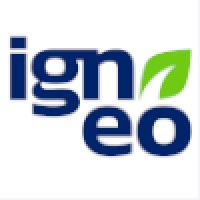 Igneo Ingeniería Sostenible S.L.U. logo - Similar company to Dimsia Servicios Informáticos Avanzados