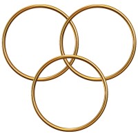 Golden Union Shipping Company S.A. logo - Similar company to Cargo Express Ltd