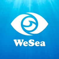 WeSea logo - Similar company to Transnational Red Sea Center
