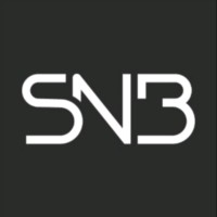 SNB logo - Similar company to Selda Informatica