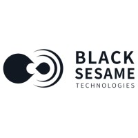 Black Sesame Technologies Inc logo - Similar company to Ecarx