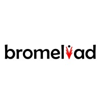 Bromeliad