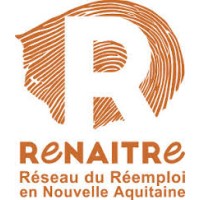 ReNAITRe logo - Similar company to Apesa