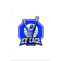 IceCage Oy logo - Similar company to Sofia Helsinki