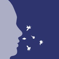 DailyBreath logo - Similar company to Cbst Adventures