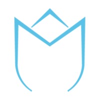 InfoMind logo - Similar company to Infomind