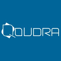 Qoudra logo - Similar company to Skymind Global Limited