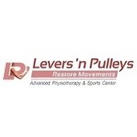 Levers N Pulleys logo - Similar company to Shree Shakti Pulleys