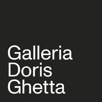 Galleria Doris Ghetta logo - Similar company to Gallery Sofie Van De Velde
