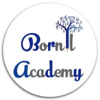 Bornil Academy logo - Similar company to Road2Study