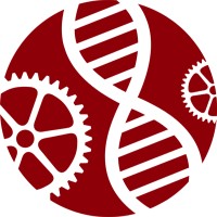 Zulabs Digital logo - Similar company to Nexting Berhad