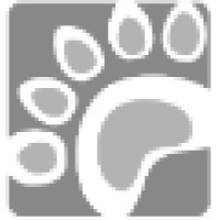 Panda Solutions Limited