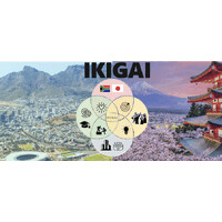 Ikigai Foundation logo - Similar company to Perform Mind