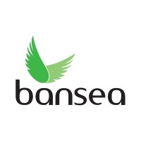 BANSEA logo - Similar company to Strategy Tools